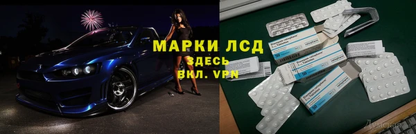 гашиш Богданович