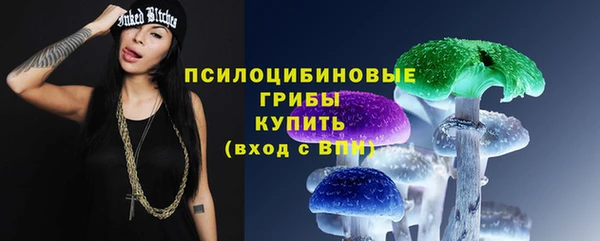 гашиш Богданович