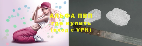 гашиш Богданович