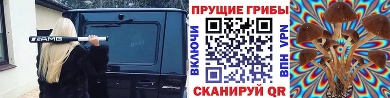 Галлюциногенные грибы GOLDEN TEACHER купить цена Ковылкино